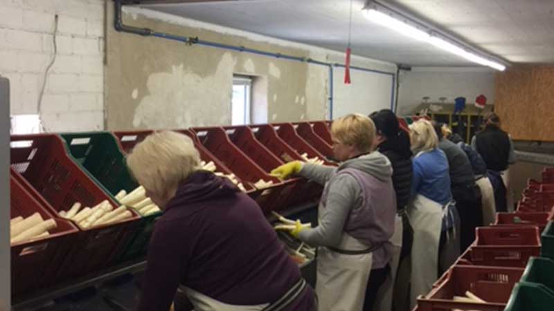 Resa med Tjörnarpsbuss till Celle under sparrissäsongen – kultur, mat och gemenskap